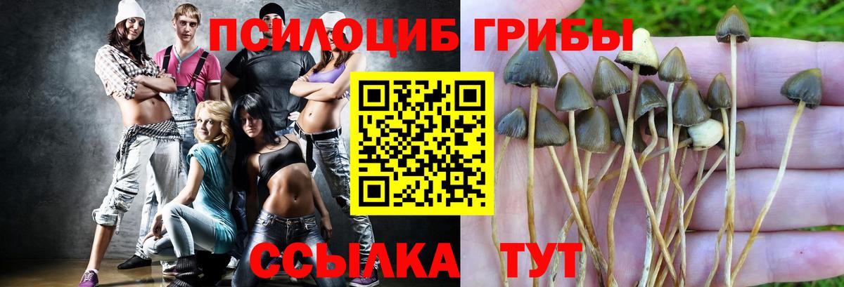 Псилоцибиновые грибы Magic Shrooms Нягань